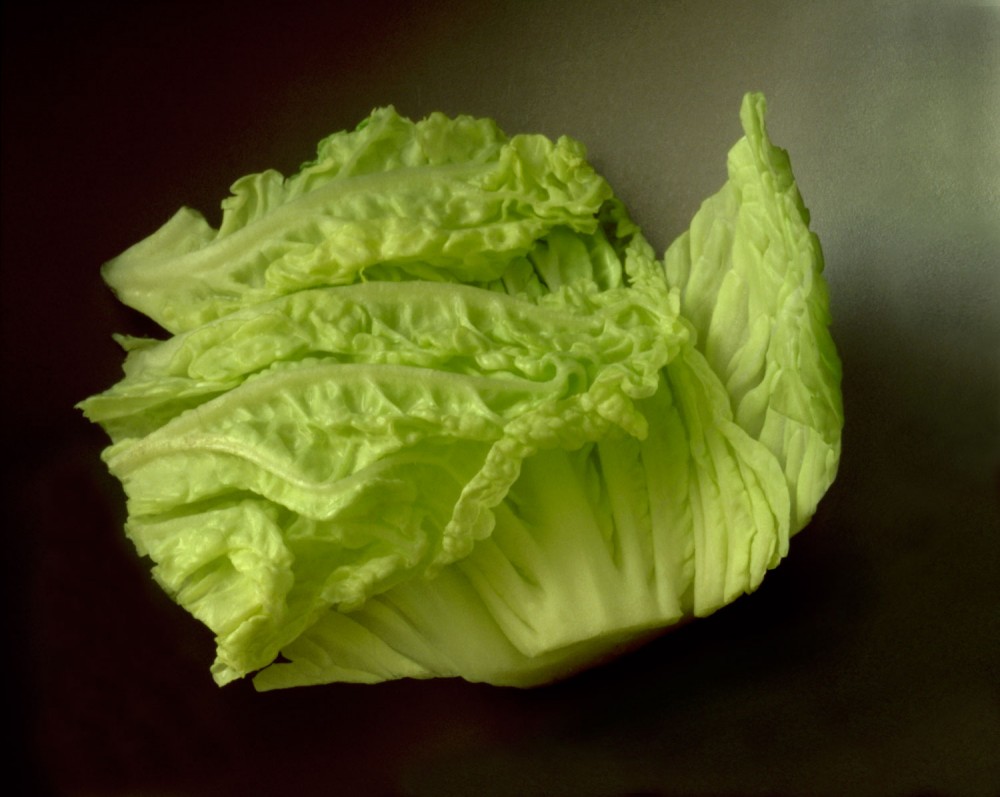 Chinese_Cabbage_1223462842_L