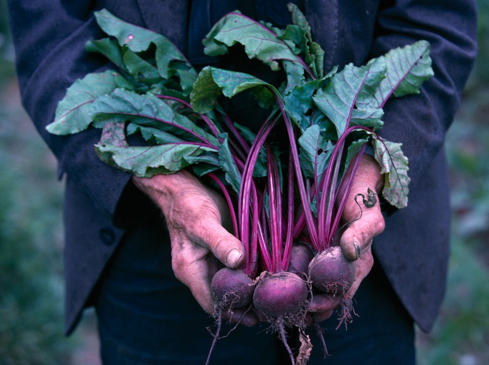 Johns_hands_and_Beetroot_1234970908_L